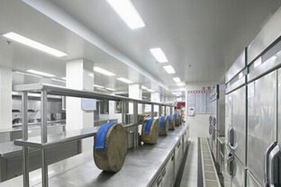 節(jié)能環(huán)保引領(lǐng)革新 廚房設(shè)備行業(yè)如何以綠色戰(zhàn)略贏(yíng)取競(jìng)爭(zhēng)優(yōu)勢(shì)